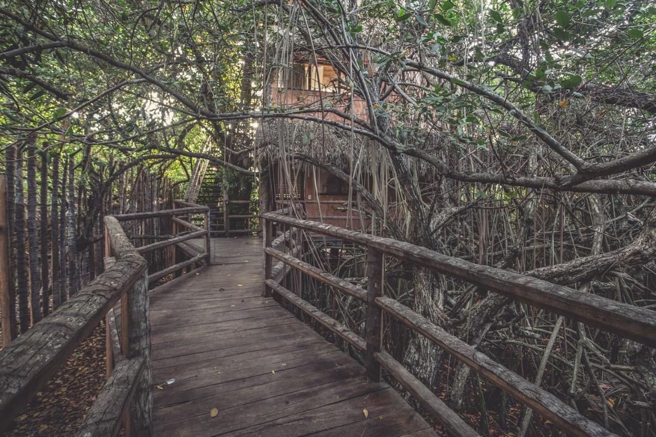 Hidden Treehouse Tulum Eco-Hotel Zewnętrze zdjęcie