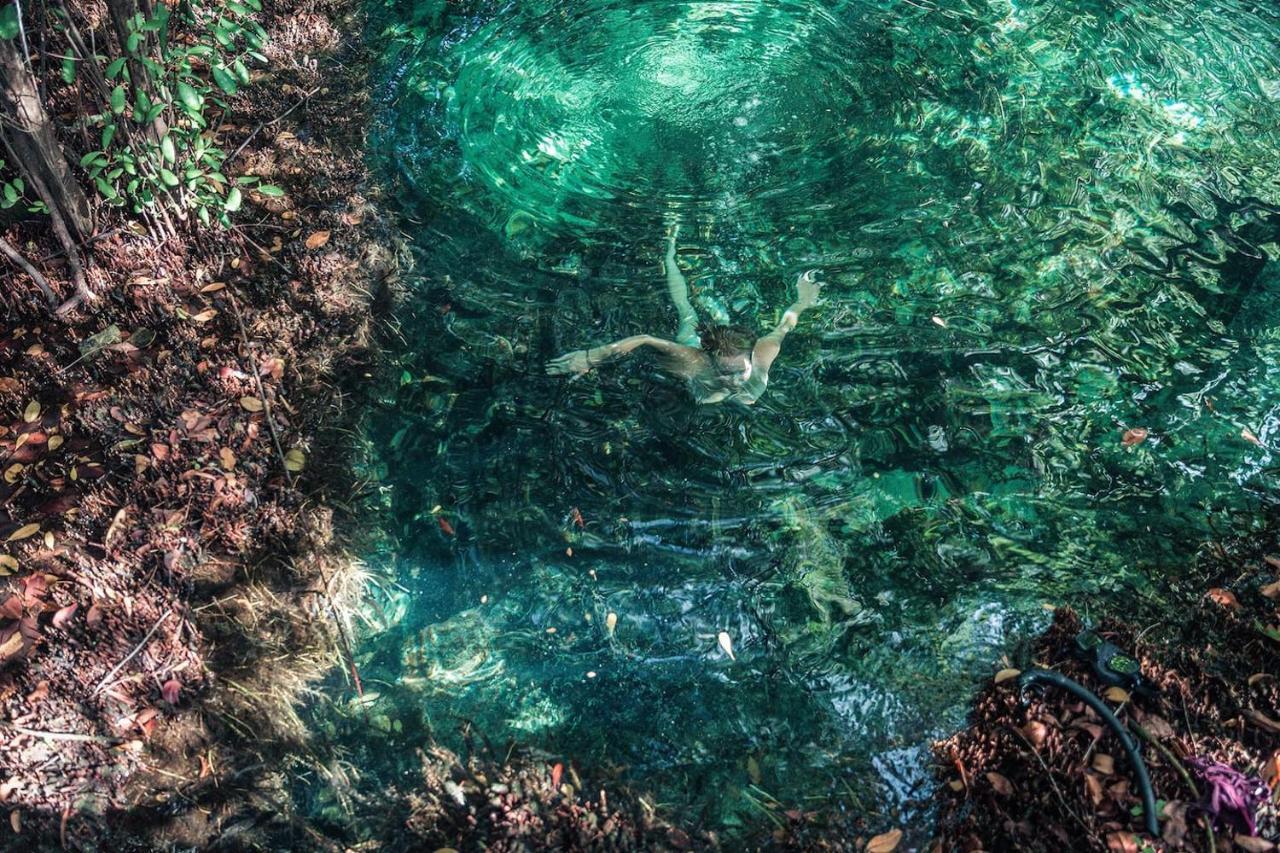 Hidden Treehouse Tulum Eco-Hotel Zewnętrze zdjęcie